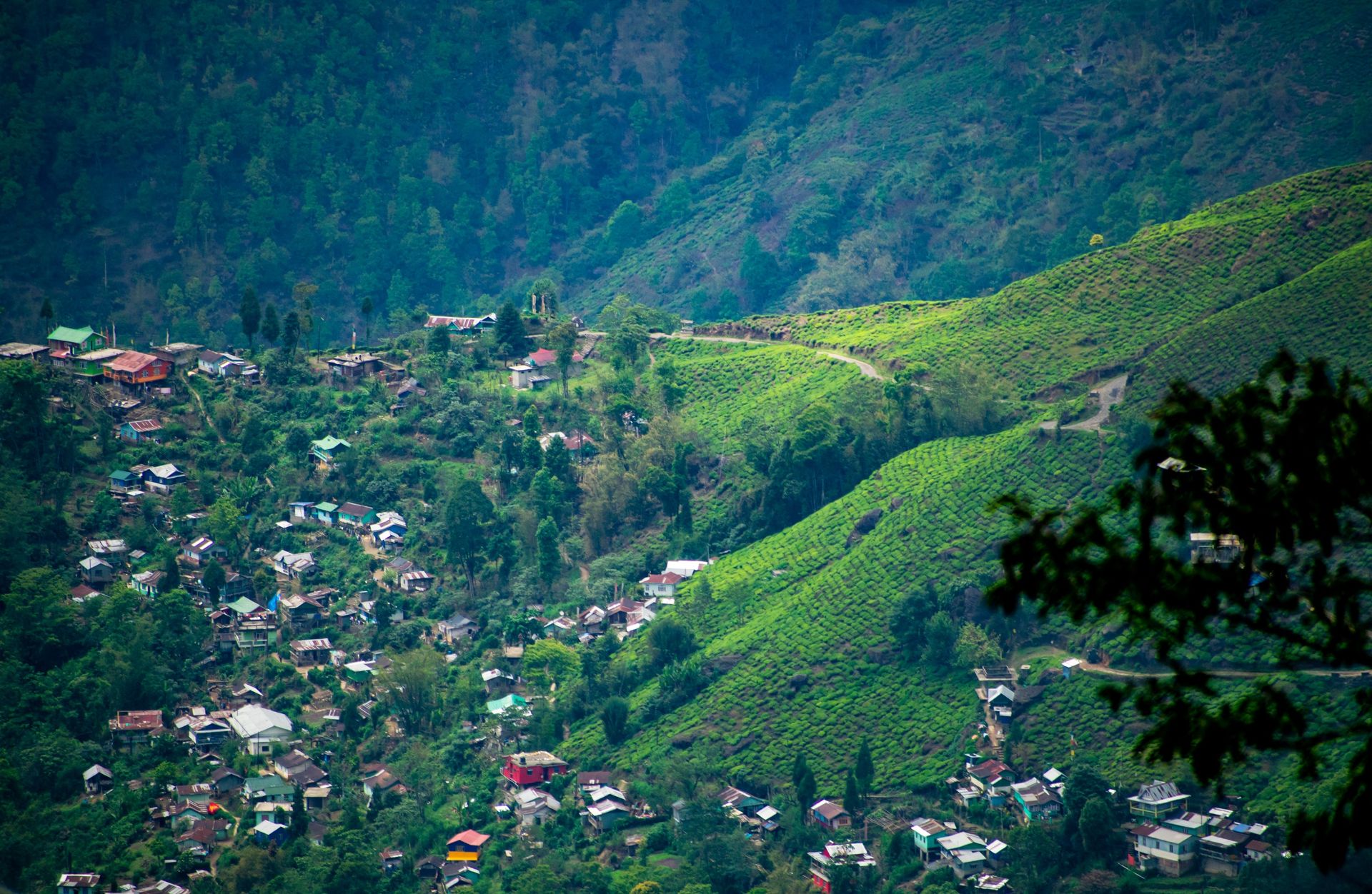 tour planner in india iSikkim