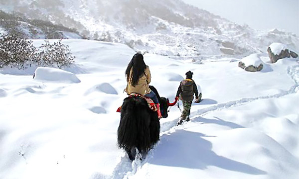 best tour packages iSikkim